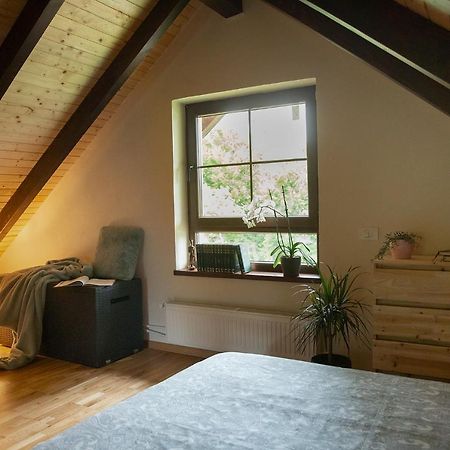 Casuta Cu Bine Villa Valea Lunga-Ogrea Buitenkant foto