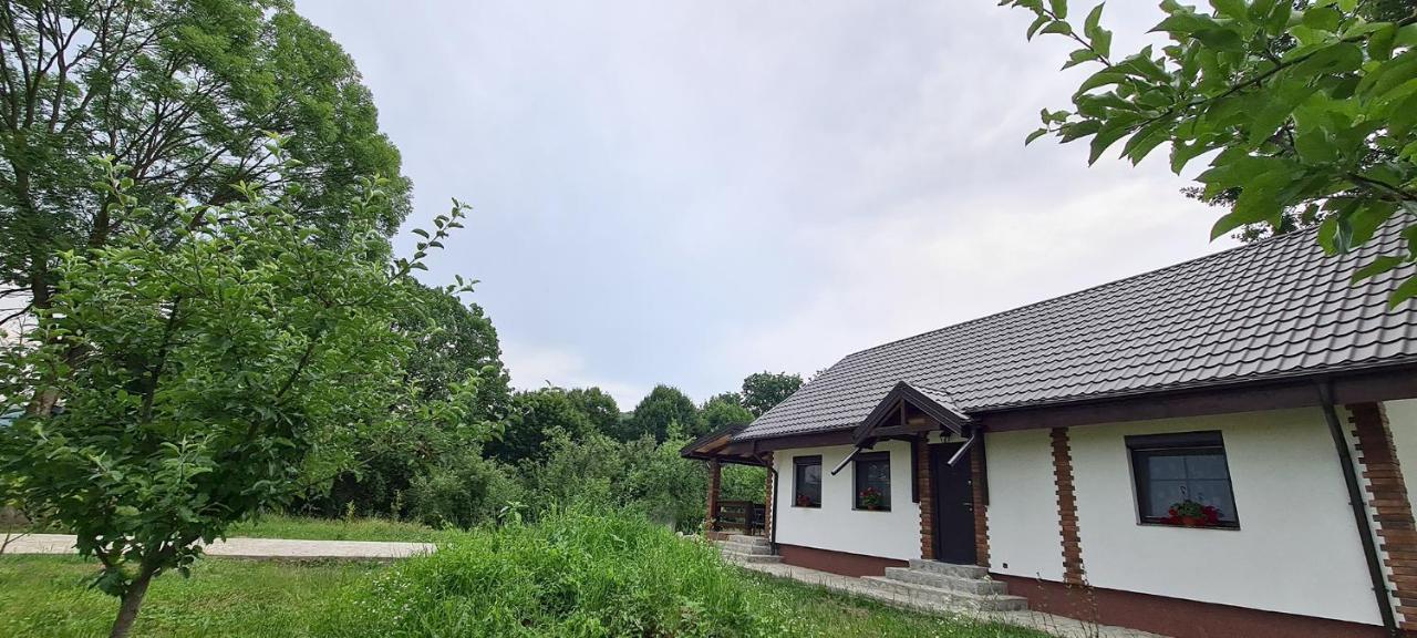 Casuta Cu Bine Villa Valea Lunga-Ogrea Buitenkant foto
